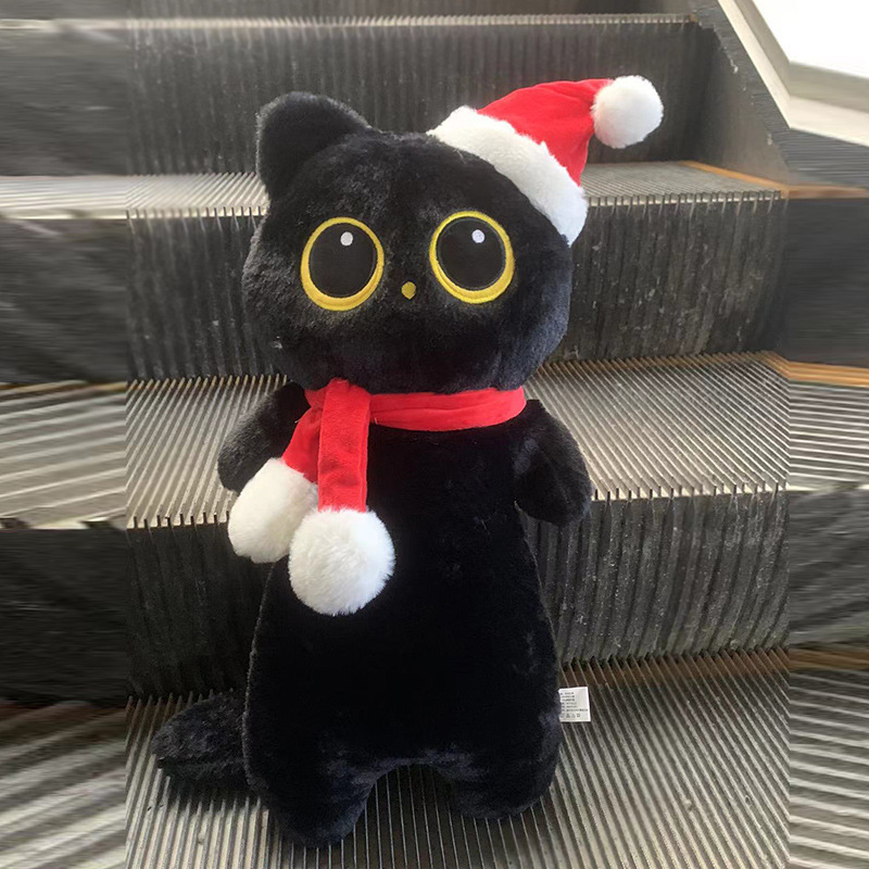 小猫2